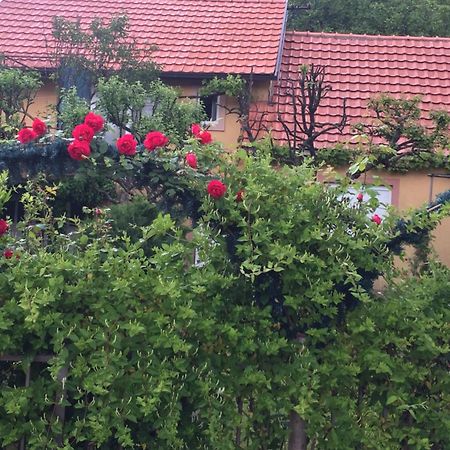 Apartman Lili Cetinje Exteriér fotografie