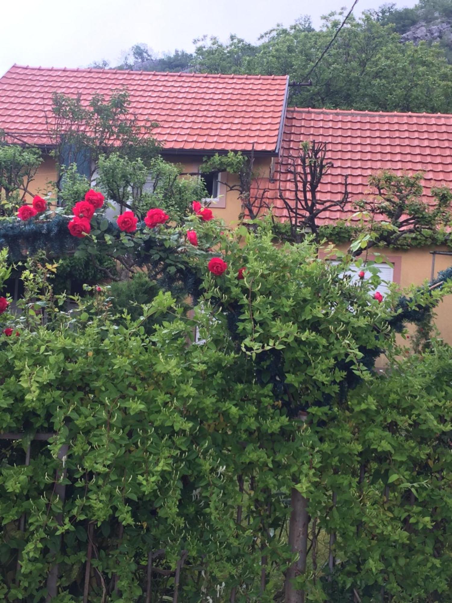 Apartman Lili Cetinje Exteriér fotografie