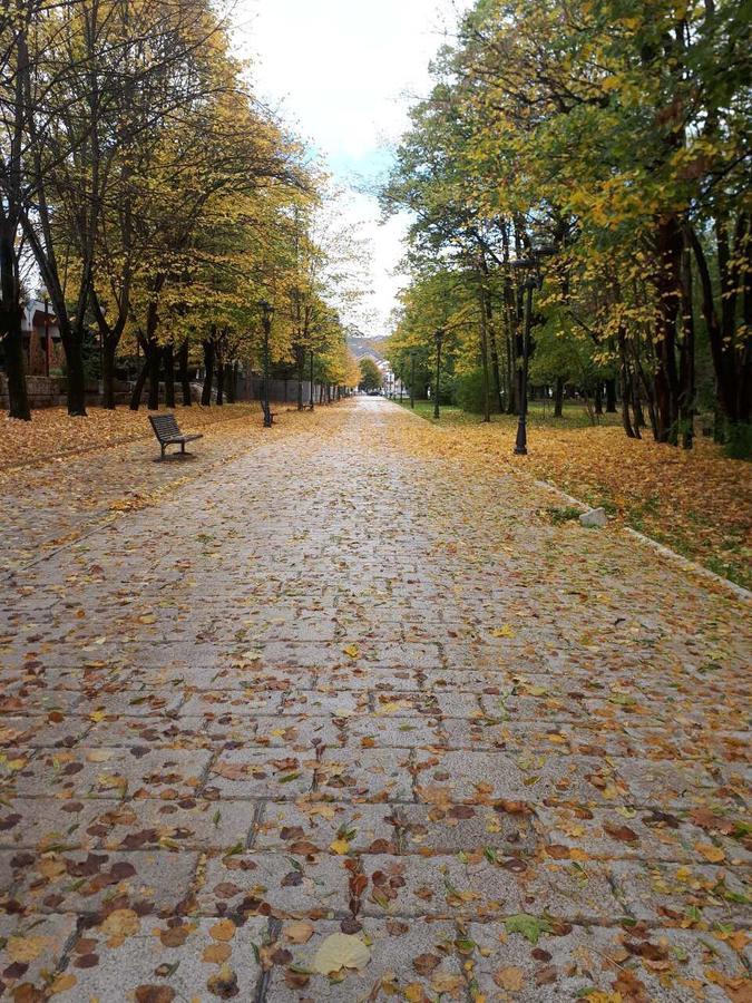 Apartman Lili Cetinje Exteriér fotografie