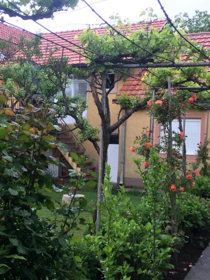 Apartman Lili Cetinje Exteriér fotografie